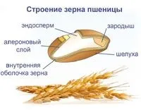 мама избира