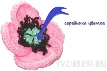 макове една