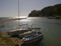 дърво направи