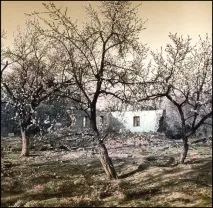 двойки череши