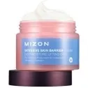 mizon serum