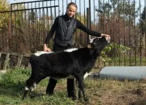 миниатюрна отглеждат миниатюрни