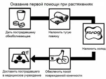 мускули навяхвания