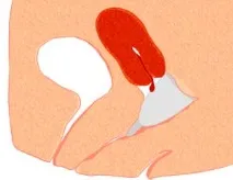 жени години жени години