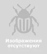 довідник