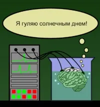 мозъците мозъците