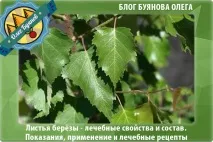 млади сребърна
