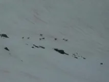 манарага манарага