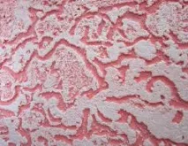 мазилка мазилка