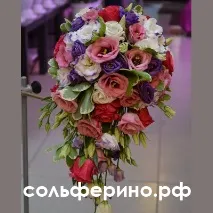 вибираючи