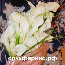 звернути