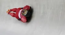 скелети скелети