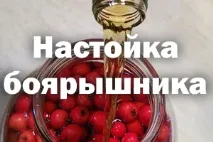 инструкции