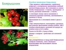 глог