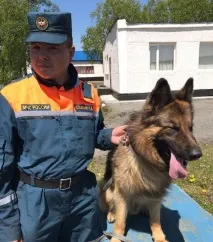 Микола Скалін собака повз людину, що потрапила в біду, не пройде собака
