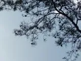 Олег Сінько «Руни магія та символіка» магія