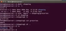 Операції з файлами та каталогами Linux як виконувати правильно файлами