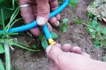 Про крапельне полив, як зробити своїми руками, 6 соток соток