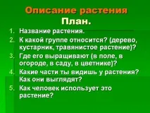 дивите растения 14500-14