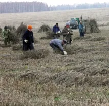 производството уникални