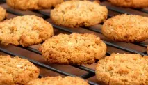 масло ядки