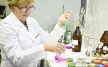 Овочеве пюре для малюків вводимо перший прикорм малюків
