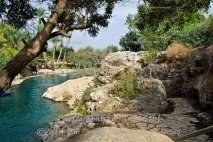 Парк Ган Ашлоша, Travel парк