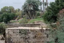 Парк Ган Ашлоша, Travel парк