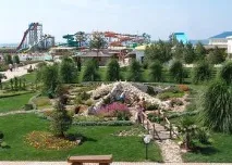 сакі