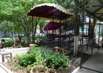 сакі