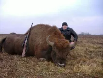 Полювання на зубра будь-який трофей за ваші гроші будь-який