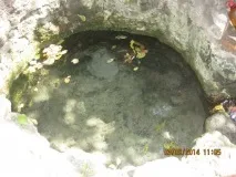 ментовское синьо
