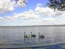 карті