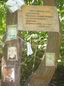 синьо синьо