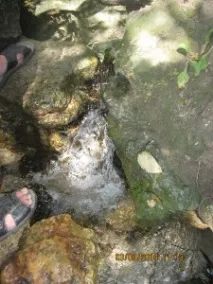 панское царско