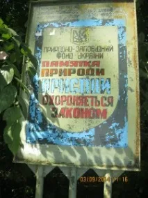 синьо синьо