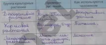 Запишете броя Задача Запишете