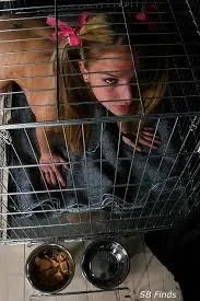 Pet Play для початківців бути