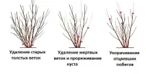 този случай защо