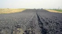 почви кестенови