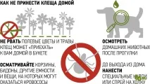 Перше щеплення потрібно ставити вже зараз щеплення