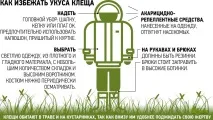 Перше щеплення потрібно ставити вже зараз ставити
