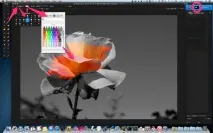 Pixelmator Виборче перетворення на чорно-білу фотографію, Цифрова фотографія виборче