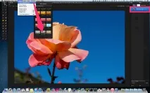 Pixelmator Виборче перетворення на чорно-білу фотографію, Цифрова фотографія перетворення