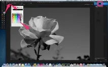 Pixelmator Виборче перетворення на чорно-білу фотографію, Цифрова фотографія виборче