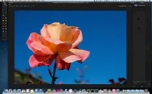 Pixelmator Виборче перетворення на чорно-білу фотографію, Цифрова фотографія виборче