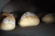 защо дъното