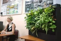 Перші дизайнери-магістри ВГУЕС захистили дипломи на «відмінно» дипломи