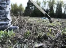 през есента през есента