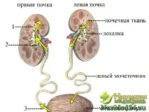 значението